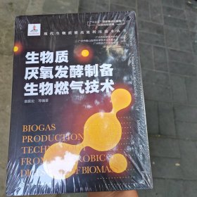 生物质厌氧发酵制备生物燃气技术(精)/现代生物质能高效利用技术丛书