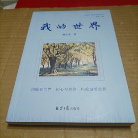 我的世界