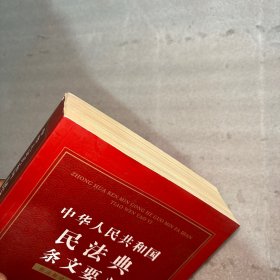 中华人民共和国民法典条文要义