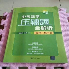 中考数学压轴题全解析