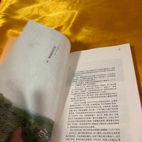 茶 还可以这样玩。九品无字迹无划线