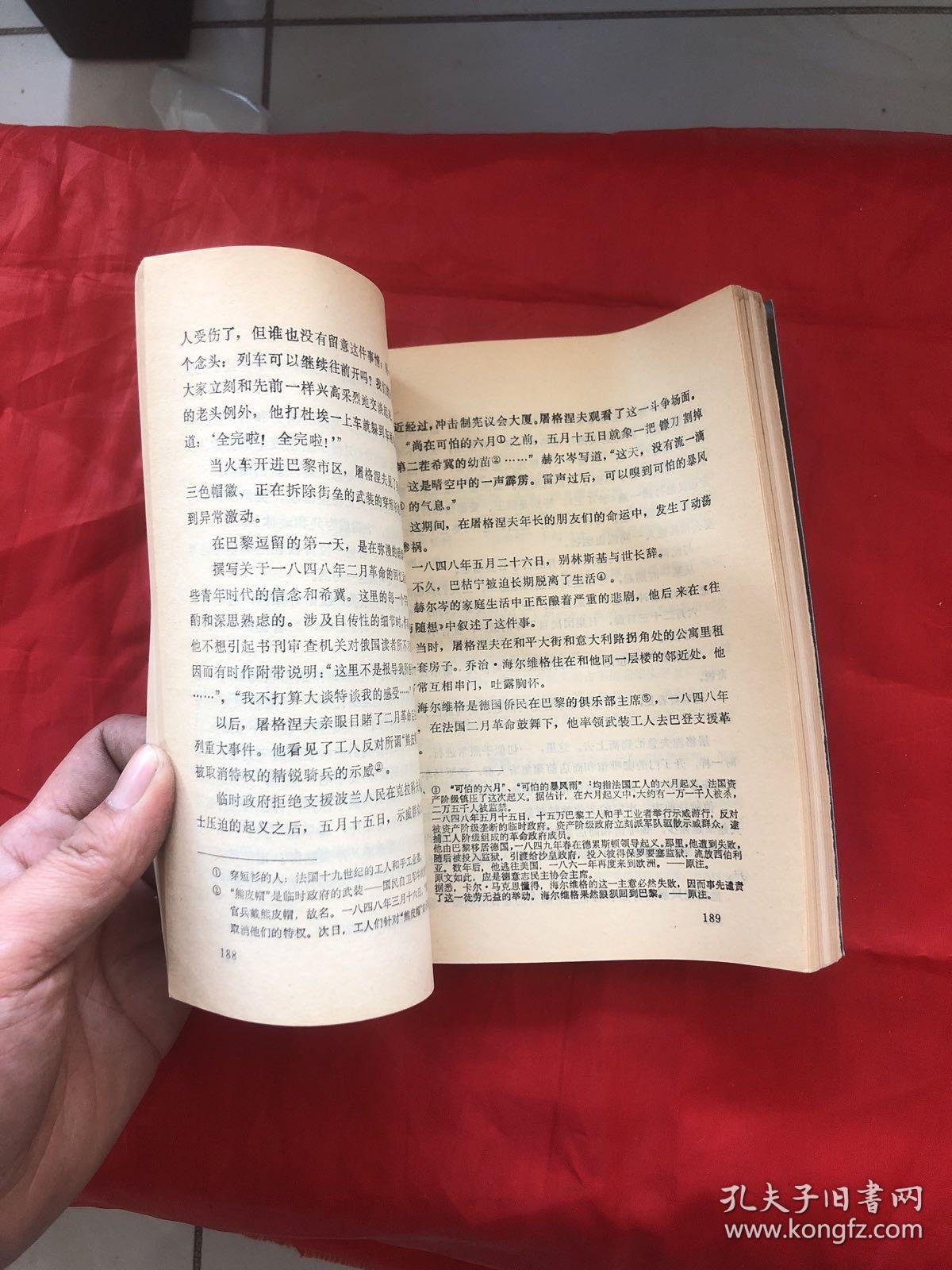 俄罗斯之心 屠格涅夫传
