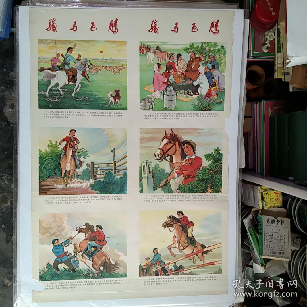 1975年印的2开年画-骏马飞腾，两张一套