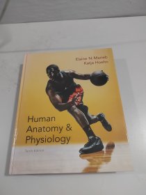 Human Anatomy & Physiology