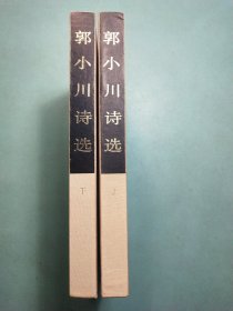 郭小川诗选(共两册) 布面精装1版1印