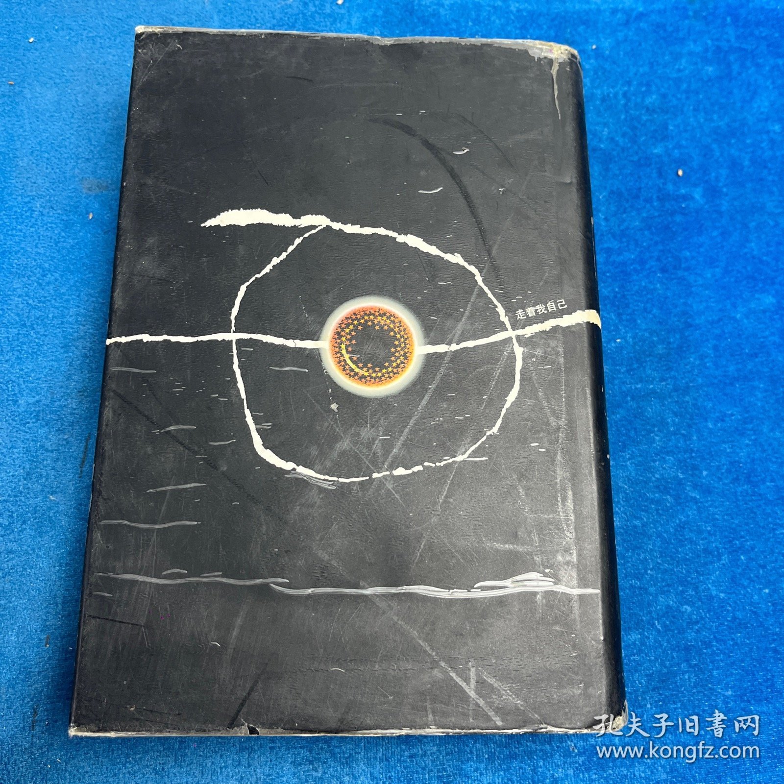 骆一禾诗全编