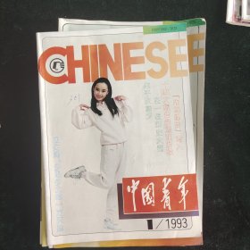 中国青年杂志1993年1-12期缺9、10两期共10本