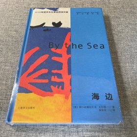 2021诺奖作家古尔纳作品：海边