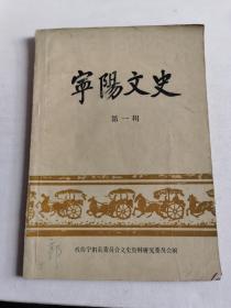 山东泰安宁阳文史资料第一集（免邮包挂刷）