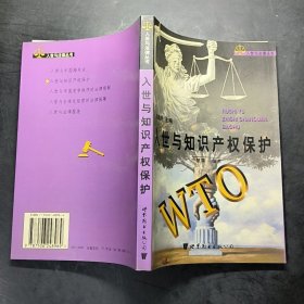入世與知識產(chǎn)權(quán)保護(hù)