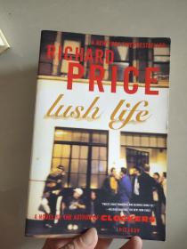 Lush Life：A Novel