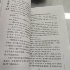 无公害肉用牛养殖