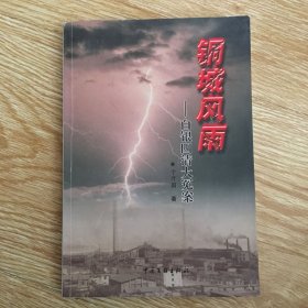 铜城风雨 ：白银四清大冤案