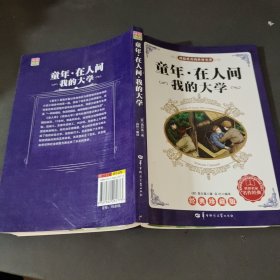 童年在人間我的大學(xué)
