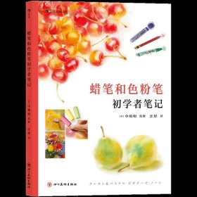 蜡笔和色粉笔初学者笔记  读日本艺术名校老师剖析名画，看懂画才能更会画