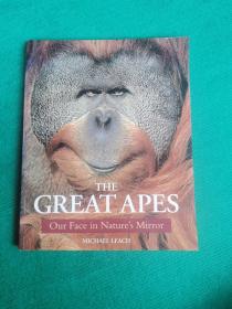 THE GREAT APES