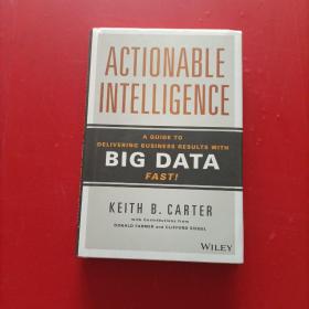 Actionable Intelligence: A Guide to Delivering Business Results with Big Data Fast!