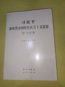 习近平新时代中国特色社会主义思想学习问答大字版