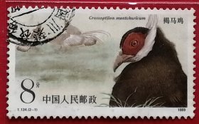中国邮票 t134 1989年 褐马鸡 2-1 信销四川攀枝花戳 中国特产的珍稀鸟类，被列为国家一级保护动物。