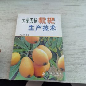 大果无核枇杷生产技术