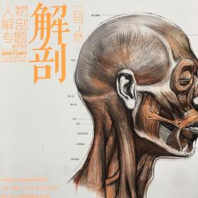 教学对话：人物解剖专题11