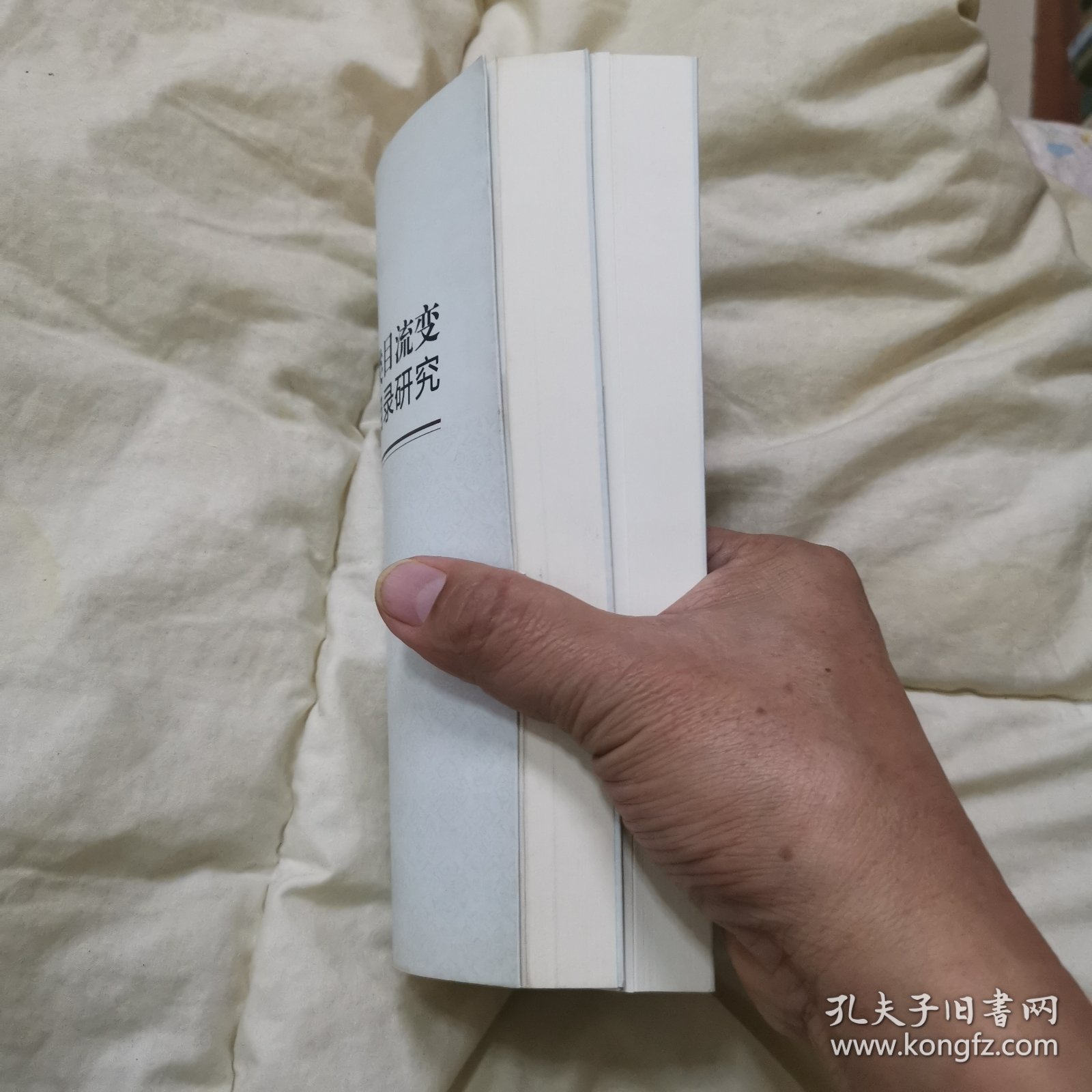 古典目录学类目流变与皖人专科目录研究
