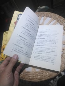 【2本一套合售】顺治皇帝 上下册 杨立平 中国社会出版社9787801462244