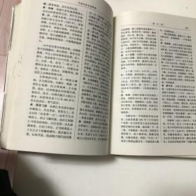 中国名胜古迹辞典