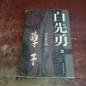 白先勇 3 孽子  花城出版社.