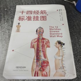 十四經(jīng)筋標(biāo)準(zhǔn)掛圖