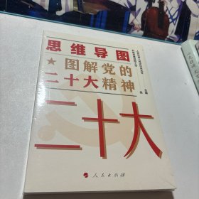 思维导图 图解党的二十大精神（全新未拆封）