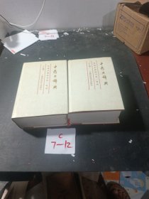 中药大辞典（缩印本，上下全两册，32开精装厚本！）