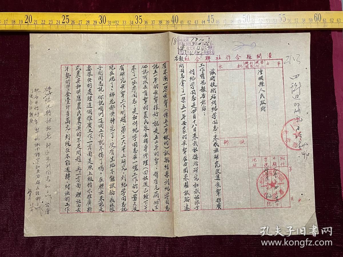 1953年，潼关县合作社联合社报告，关于技术站刘纪学同志来我社研究改进步犁推广工作情况事宜，大张，共2页，毛笔手写，字迹特别漂亮