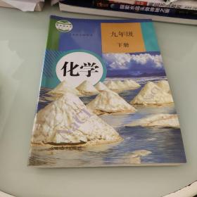 初中九年级化学下册