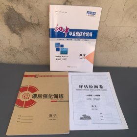 初中毕业班综合训练 数学 安徽专版 2024年版优化探究