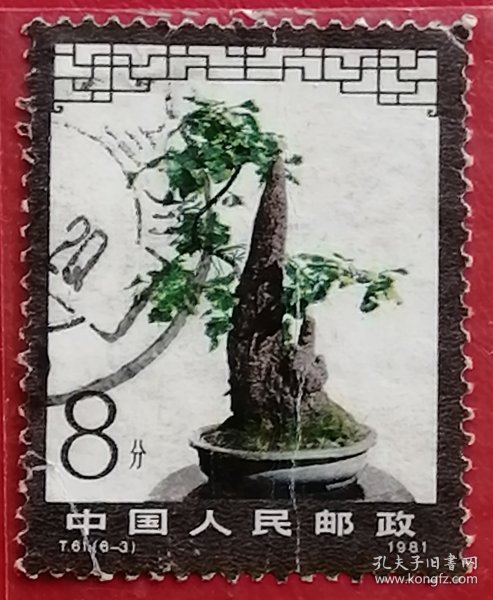 中国邮票 t61 1981年 发行量186万 盆景艺术 银杏 6-3 信销