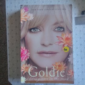 a lotus grows in the mud goldie hawn with wendy holden 英语进口原版