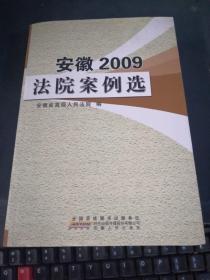 安徽2009法院案例选