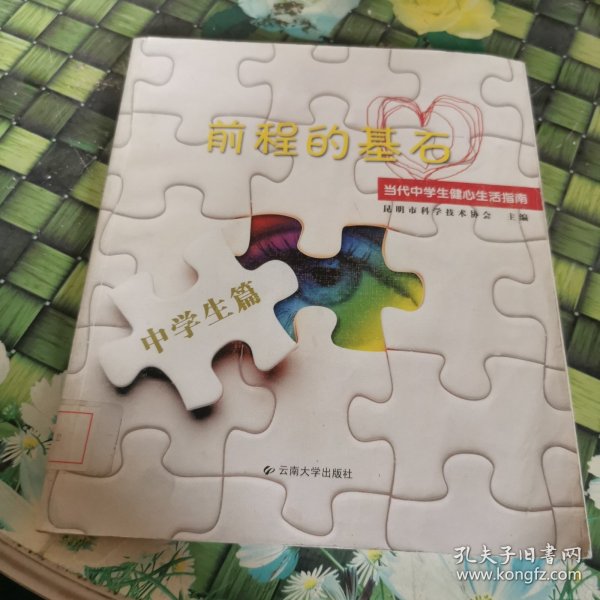 前程的基石 : 当代中学生心理生活指南 馆藏正版无笔迹