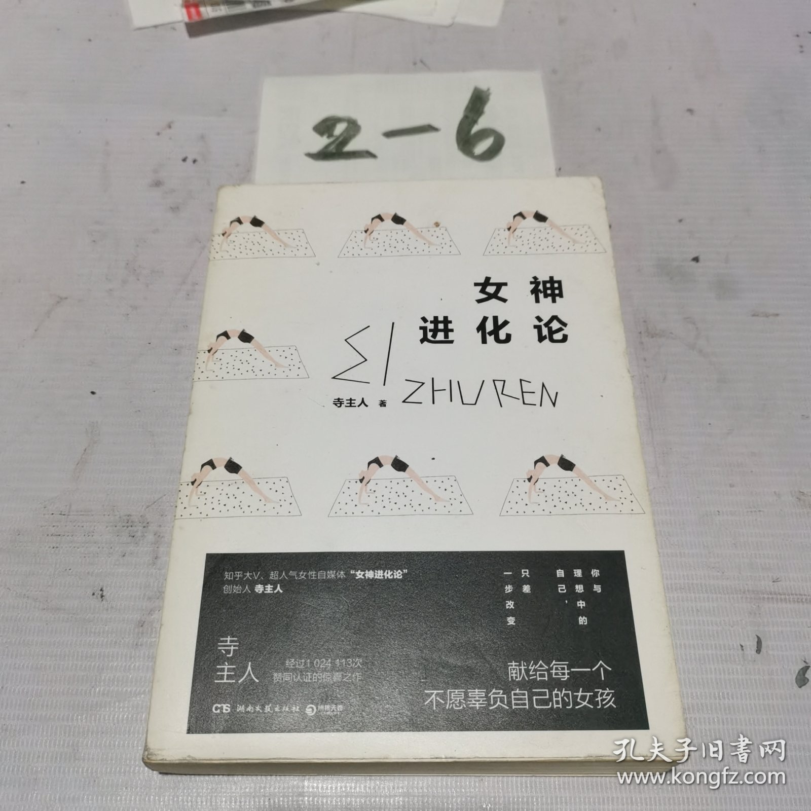 女神进化论