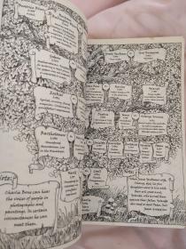 Charlie Bone and the time twister