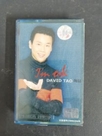 磁带: （绿卡）陶喆 DAVID TAO 附歌词 以实拍图购买