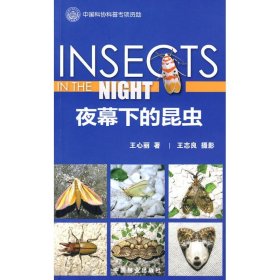 【正版书籍】夜幕下的昆虫