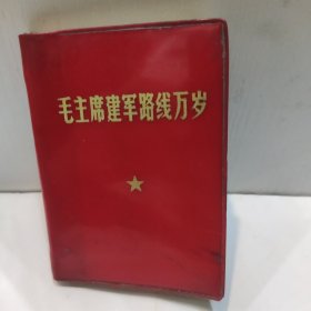毛主席建军路线万岁(128开红塑封面 内附主席军装彩照和林红字题 其它林的已撕 1969年版