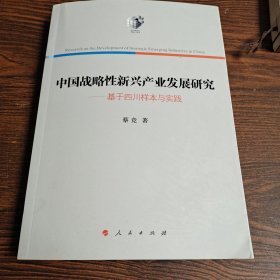 中国战略性新兴产业发展研究