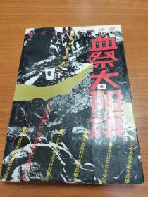 血溅太阳旗
