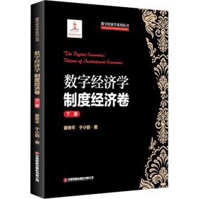 数字经济学：制度经济卷 下册