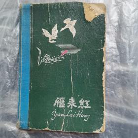 个人日记本，精装。纪录年代，1965～1966年。满本都是，纪录了那个年代所发生的事情。