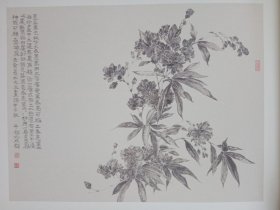 经典画库 当代名家花鸟作品精选