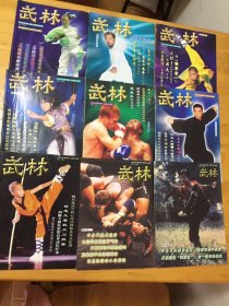 《武林》（2005 年第4 5 6 7 8 9 10 11 12（共9册合售）缺1 2 3